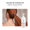 Premium Care ColorMotion+ Express Post-Color Treatment 500ml